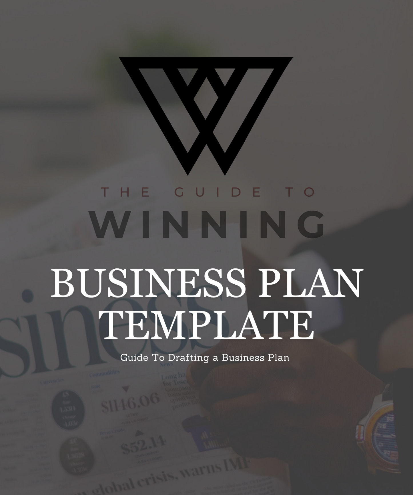 Book Bundle: The Savvy Entrepreneur + Business Plan Template